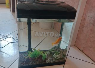 حوض سمك كامل