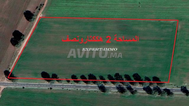 قطع أراضٍ محفظة للسكن والاستثمار بضواحي بئر جديد