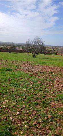 أرض للبيع