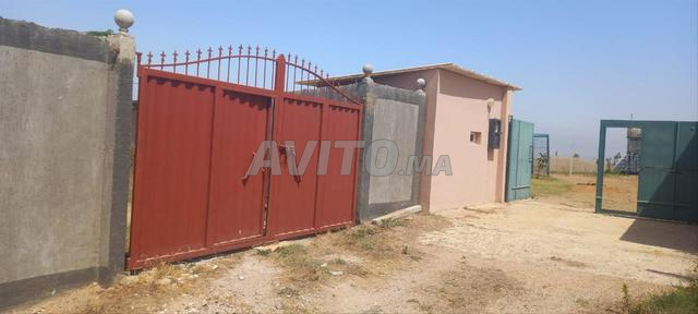 Aïn Johra avant Tiflet - 2