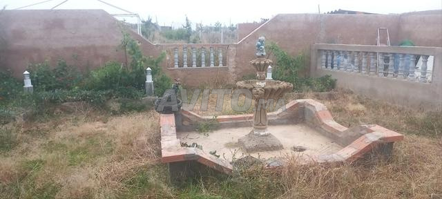 عين جوهرة قبل تيفلت