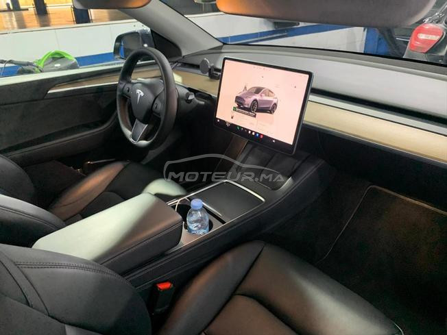Tesla Model Y Electrique Automatique 2023 à Rabat