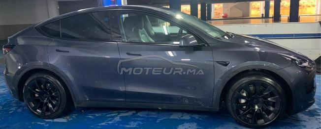 Tesla Model Y Electrique Automatique 2023 à Rabat
