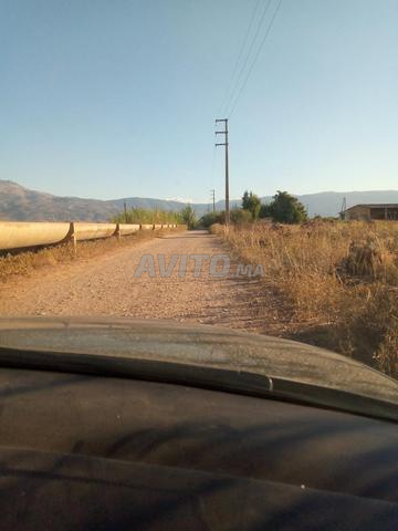 Ferme titrée à vendre 35 hectares près de Beni Mellal