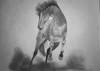 tableaux original 65/50 cm