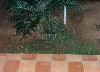 منزل في مشاتل غماط