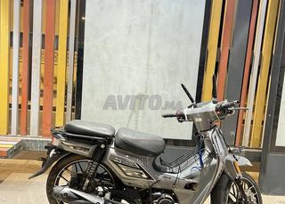 33 سايروس باقي نقية😍