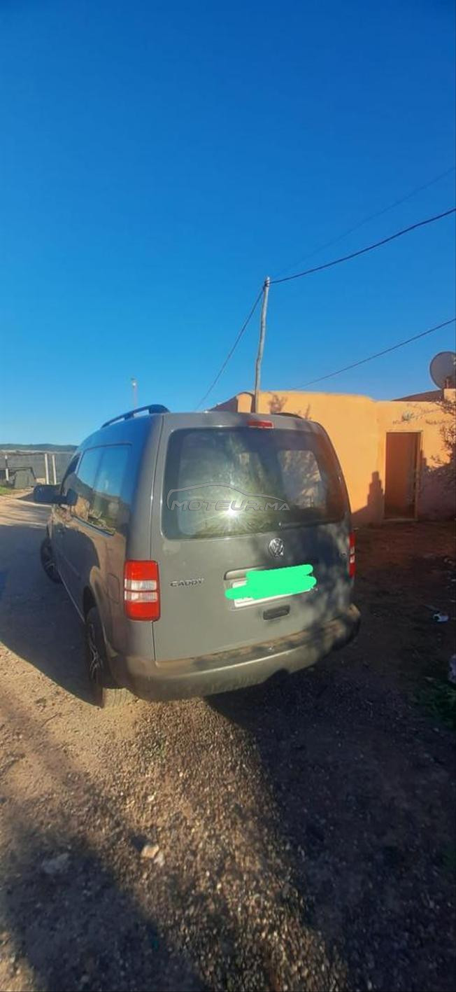 ouled taima 