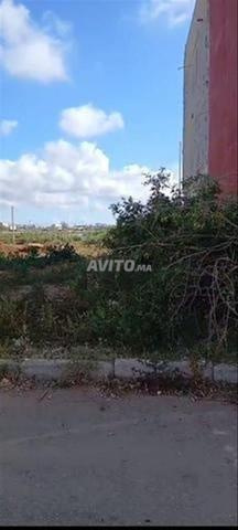 هكتارين للبيع بدوار عبو غليمين