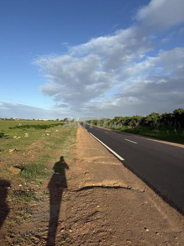 Un hectare titré sur goudron et sur plage