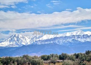 Terrain route Amizmiz