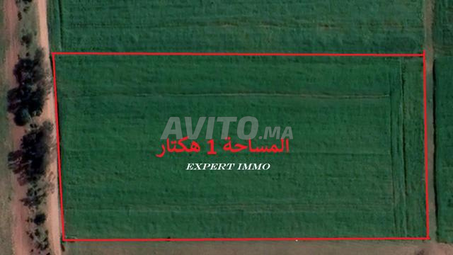 أراضي محفظة ببير جديد للبيع للبناء والاستثمار - 2