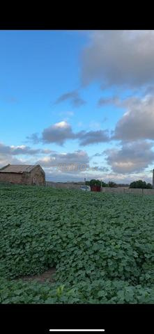 عين زيتون / حد الغربية/طنجة