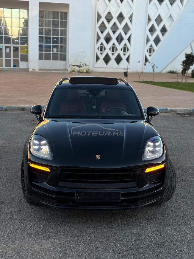 macan a ne pas ratee/ reprise