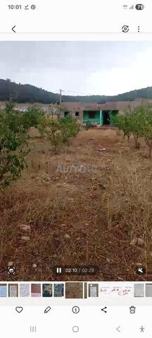 Terrain titré 2900 m2 Dait Aoua