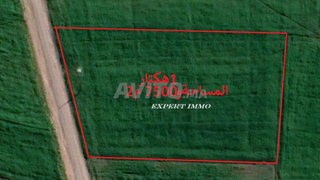 بقع أرضية محفظة بمساحة مختلفة بسيدي رحال