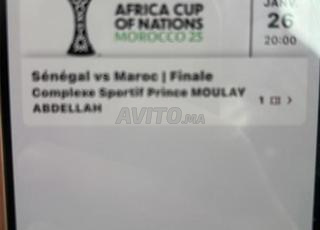 القط 2 نهائي كان