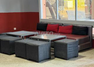 22 بوف رمادي