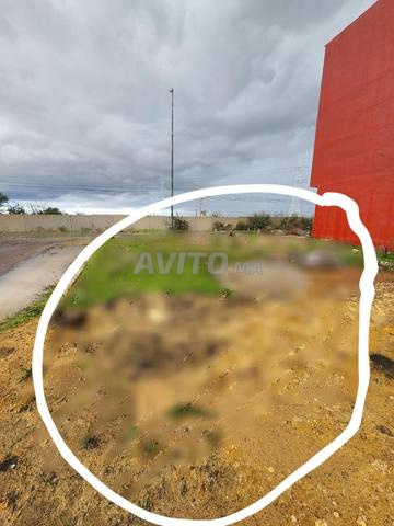 Vente Terrain 213 m² R plus 3 à EL ASSAM Kénitra - 2