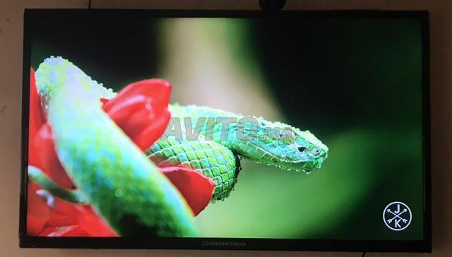 Continental edison 65