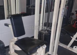 Restez avec ces poids