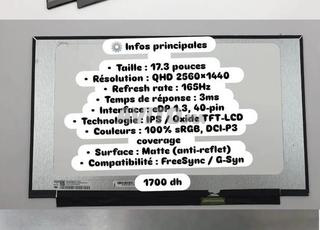 Écran 17.3'' 2K 165Hz 💻⚡
