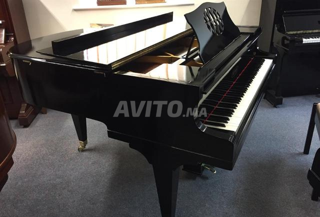 بيانو ذيل بيتروف