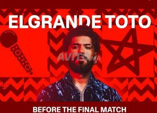 تذكرة منطقة المشجعين نهائي كأس الأمم الأفريقية/ عرض TOTO