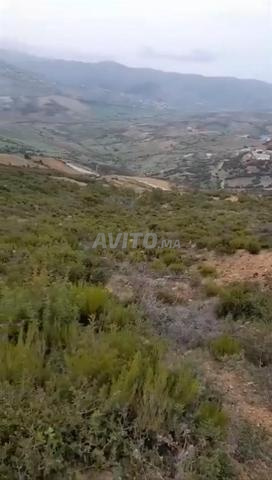 Terrain à vendre Madchar Hassana Ksar Sghir 2100 mètres - 2
