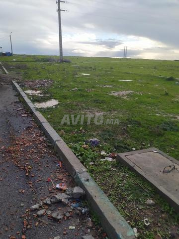 الفتح تجزئة السوق الأسبوعي