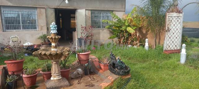 Terrain agricole avec maison et puits