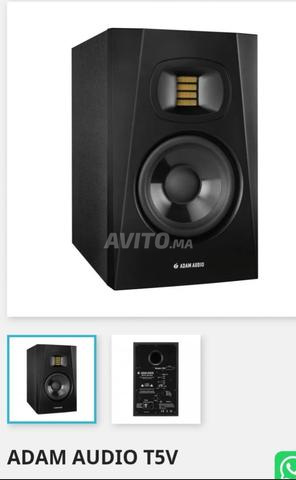 adam audio T5V