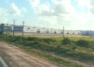 أرض مساحتها 8 هكتارات في لمكنسة طريق مديونة