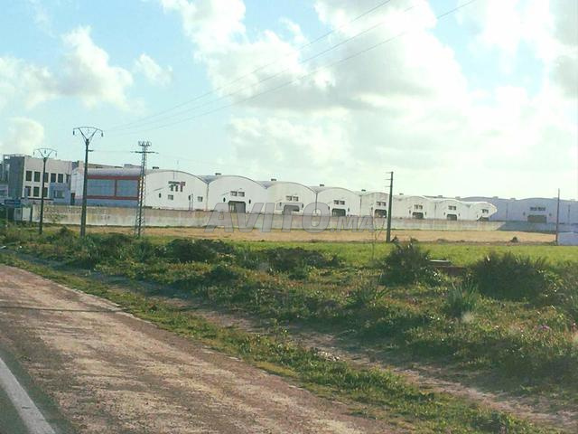 أرض مساحتها 8 هكتارات في لمكنسة طريق مديونة