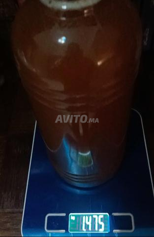 عسل حر بلدي خلوي