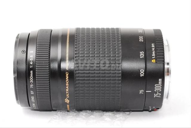 Canon EF 75-300 mm F4-5,6
