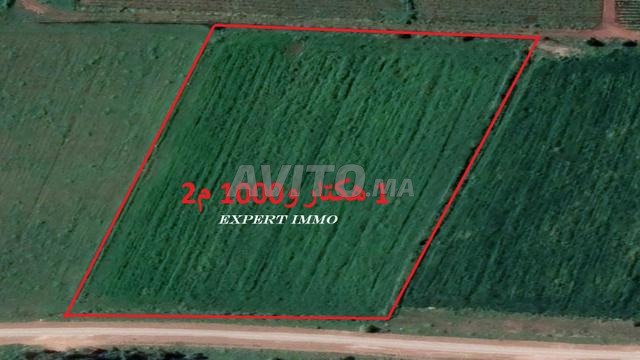 بقع أرضية محفظة بمساحة مختلفة بسيدي رحال