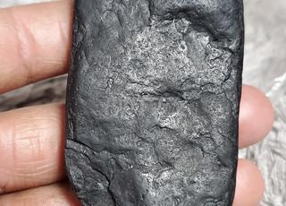 عنبر الحوت أصلي