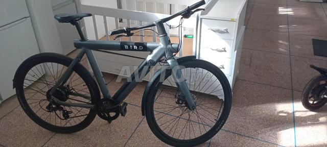 Bird Bike Gravity Gray – Vélo électrique à vendre