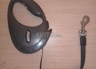 Laisse rétractable pour chien solide et pratique