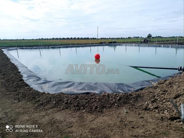 أرض فلاحية محفظة مساحتها 5 هكتارات - 2