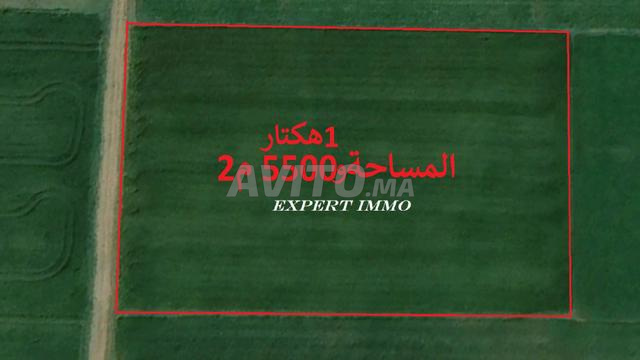 أراضي محفظة بسيدي رحال للسكن والاستثمار