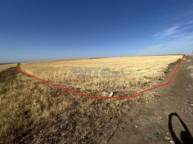 À vendre 2 hectares à Settat À vendre 2 hectares à settat - 2