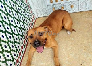 ستاف أمريكي مدرب بشكل جيد