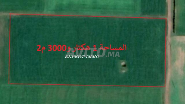Terrains titrés de différentes superficies à Sidi Rahal