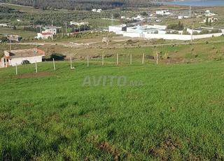 أرض للبيع تطوان