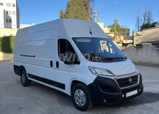 فيات دوكاتو ماكسي 2023