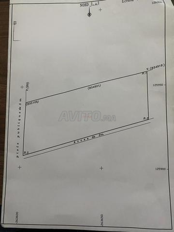 Vente Terrain nu de 2404 m2 à Marrakech
