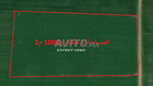 أراضي محفظة بسيدي رحال للسكن والاستثمار - 2