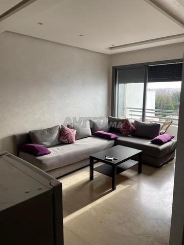 À louer splendide studio à palmier - 2